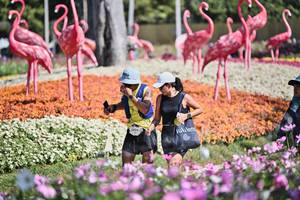 BIB: 
                            <button type="button" onclick="openModal(27793016)" class="btn btn-primary btn-sm float-right btn-popup" data-toggle="modal" data-target=".modal-high-quality">
                        <i class="fas fa-shopping-cart"></i> Add to Cart
                    </button>
                                            <button type="button" onclick="isThisMe(27793016, true)" class="btn btn-success btn-sm float-right btn-popup btn-isme hidden" data-toggle="tooltip" data-placement="bottom" title="นี่คือรูปของคุณใช่ไหม คลิกที่นี่เพื่อเอาเข้าอัลบั้ม">
                        <i class="fas fa-plus"></i> Add to album
                    </button>
                    <button type="button" onclick="isThisMe(27793016, false)" class="btn btn-warning btn-sm float-right btn-popup btn-isnotme hidden">
                        <i class="fas fa-ban"></i> Remove from album
                    </button>